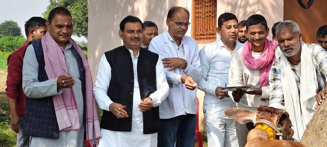 पशु मेला में 950 पशुओं का उपचार 